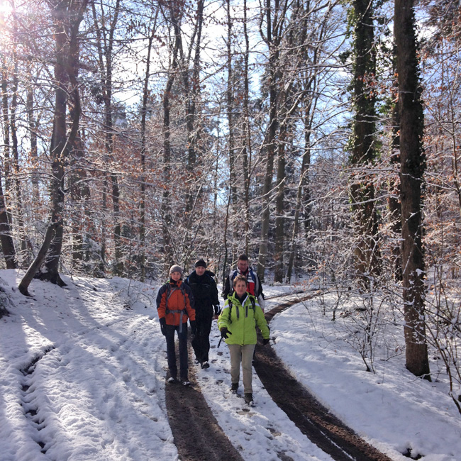 Vom Lemberg ins Buchenbachtal